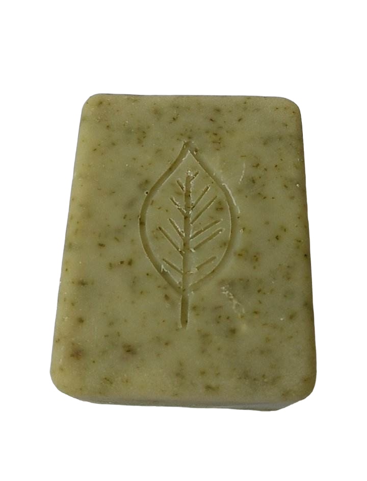 Bamboo - Leaf Soap Unscented